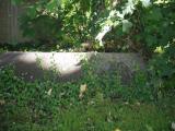 image of grave number 835481